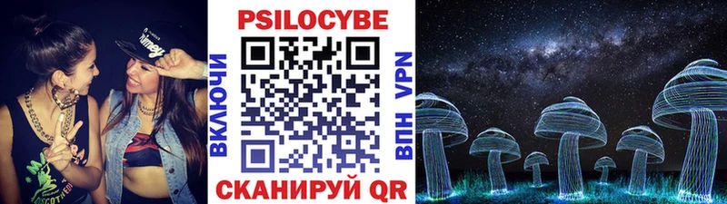 Псилоцибиновые грибы Psilocybine cubensis  Купить где  Калачинск 