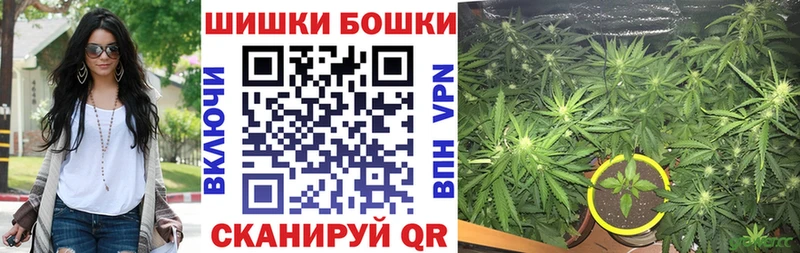 Марихуана сатива Калачинск